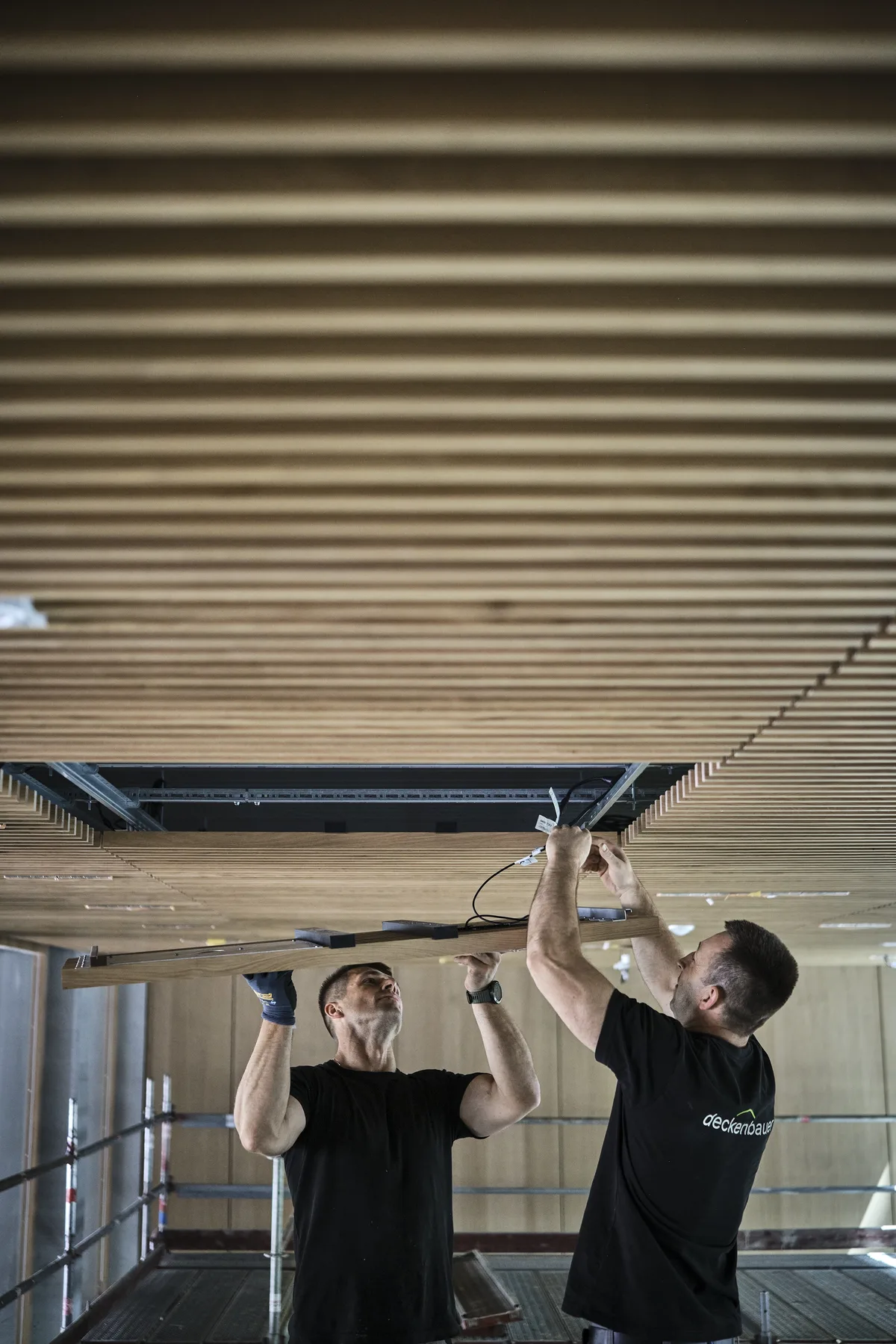 D bulletin 10 bildstrecke impression 4