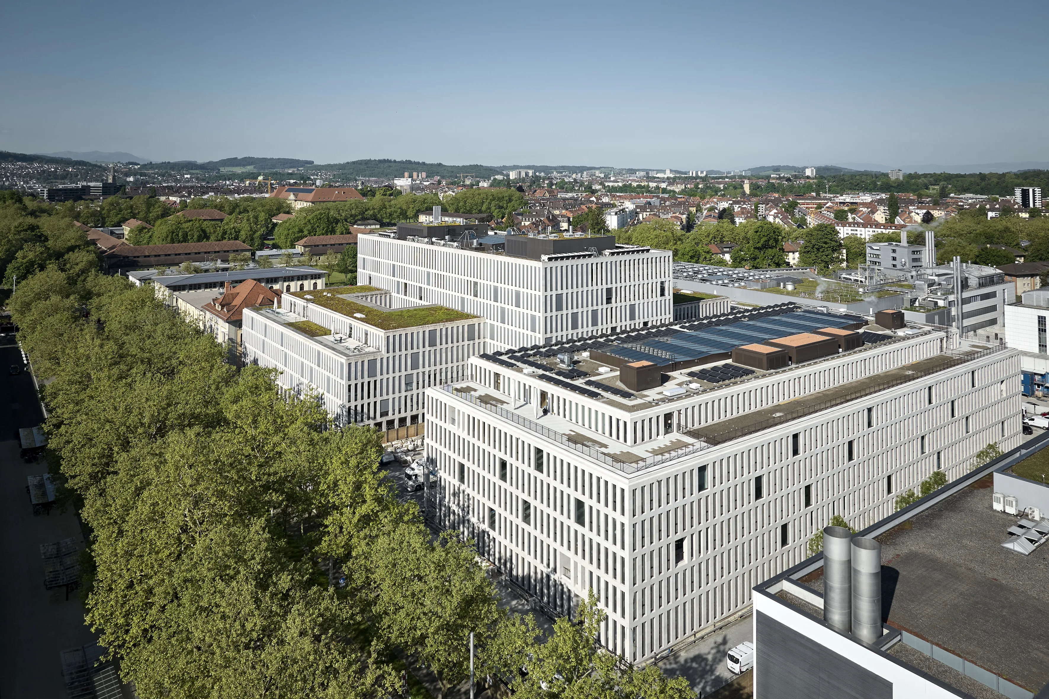 D bulletin 10 impression 1